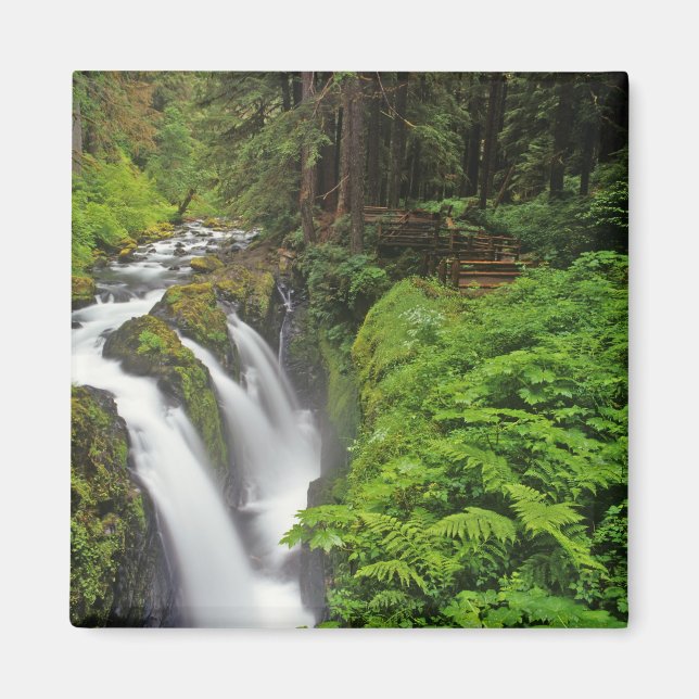 Imán Cascadas Sol Duc en el Parque Nacional Olímpico en (Frente)