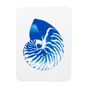 Imán Cáscara del nautilus - azul y blanco de cobalto