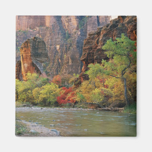 Imán Caserío otoñal a lo largo del río Virgin cerca de