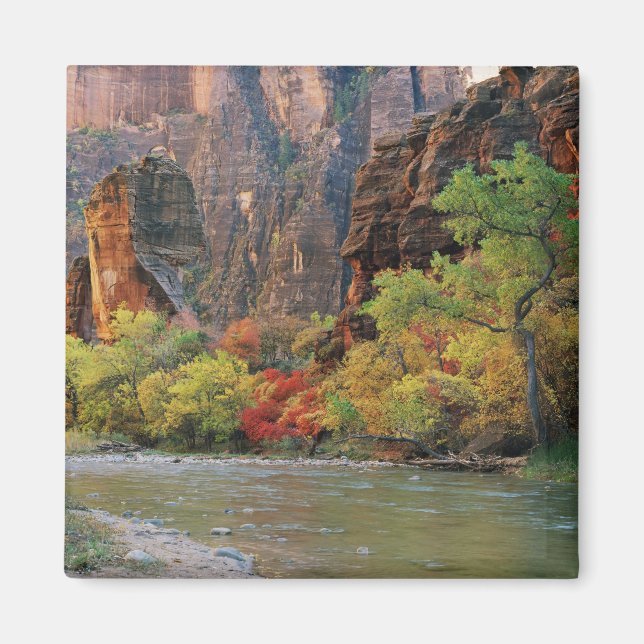 Imán Caserío otoñal a lo largo del río Virgin cerca de  (Frente)