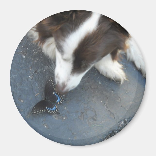 Imán Cassie y la mariposa (Frente)