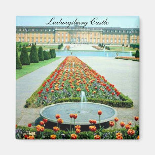 Imán Castillo Alemania de Ludwigsburg