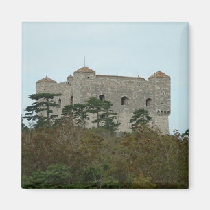 Imán Castillo de Nehaj