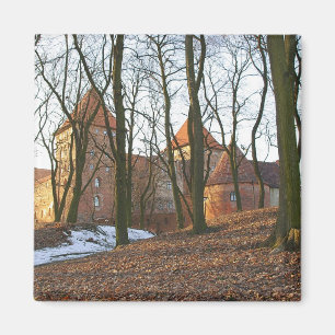 Imán Castillo de Orden Teutónico Neidenburg - Magnet