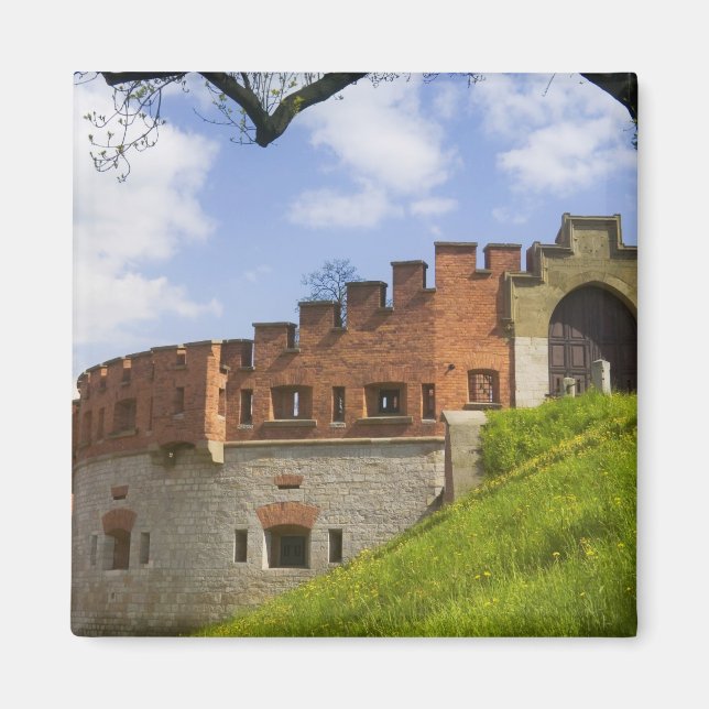 Imán Castillo de Wawel, Cracovia, Polonia (Frente)