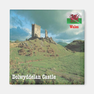 Imán CASTILLO DOLWYDDELAN WLS015, Gales, Europa, Fridge