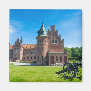 Imán Castillo Egeskov Escénico