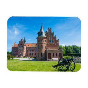 Imán Castillo Egeskov Escénico