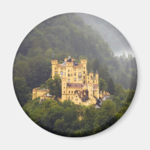 Imán Castillo en los árboles