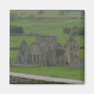 Imán Castillo Irlanda