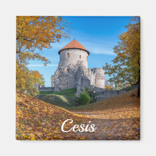 Imán Castillo medieval rodeado de bosques