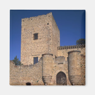 Imán Castillo Pedraza, Castilla y León, España 2