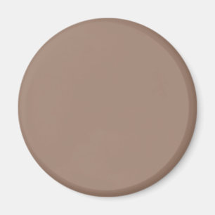 Imán Castor (color sólido)