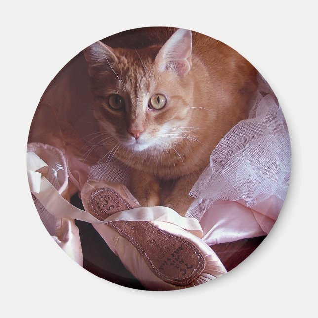 Imán Cat and Ballet Slippers (Frente)