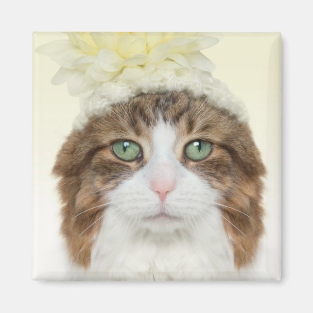 Imán Cat Con Gorra De Flores (Frente)