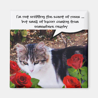 IMÁN CAT CON ROSAS ROJAS Y BACON