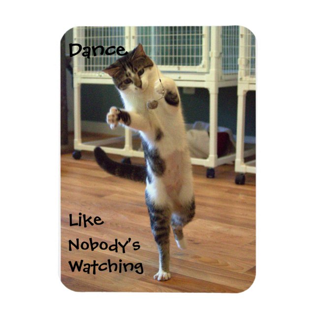 Imán Cat Dance Magnet (Vertical)