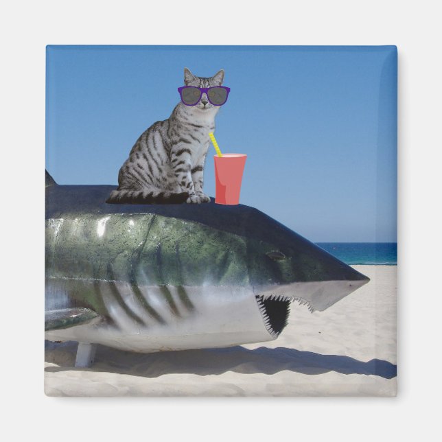 IMÁN CAT EN BEACK SHARK MAGNET (Frente)