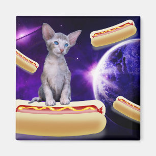 IMÁN CAT EN EL ESPACIO CON MAGNET DE PERROS CALIENTES