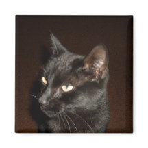 Imán CAT NEGRO