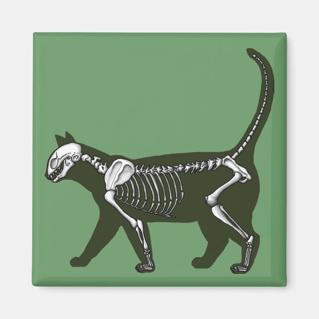 Imán Cat Skeleton (Frente)