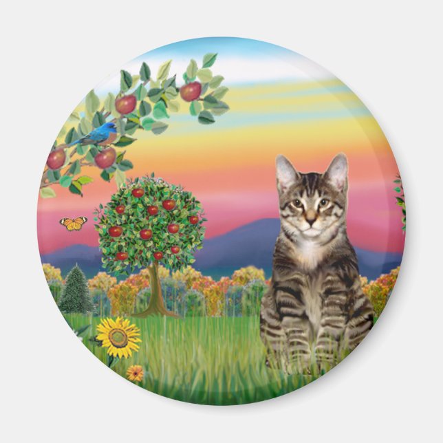 Imán Cat (Tabby1) - País brillante (Frente)