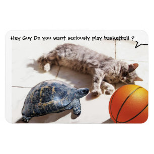 IMÁN CAT, TORTUGA Y BALONCESTO