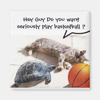 IMÁN CAT, TORTUGA Y BALONCESTO