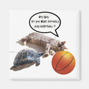 IMÁN CAT, TORTUGA Y BALONCESTO