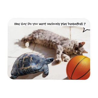 IMÁN CAT ,TURTLE AND BASKETBALL