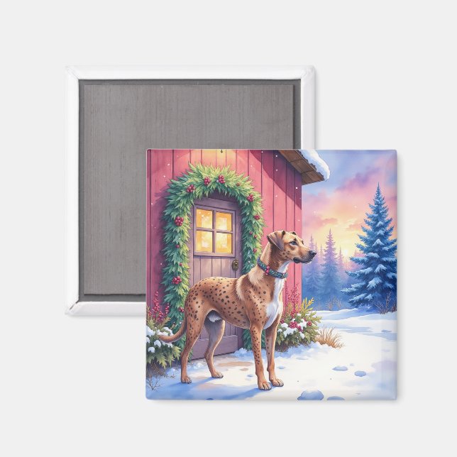 Imán Catahoula Leopard Dog Rustic Barn Christmas Art (Anverso/Reverso)