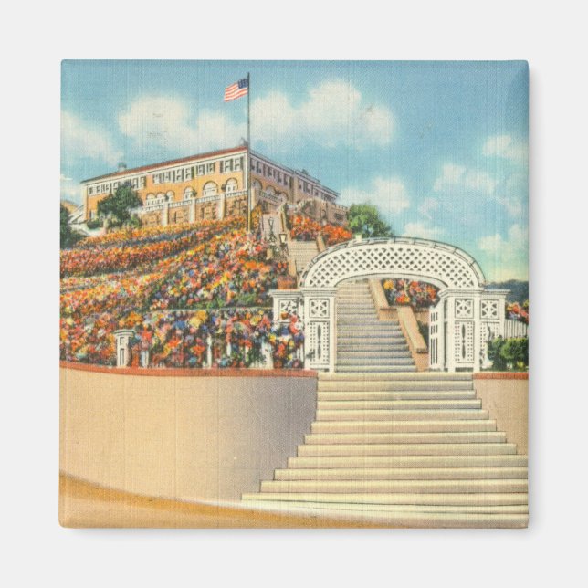 Imán Catalina (Frente)