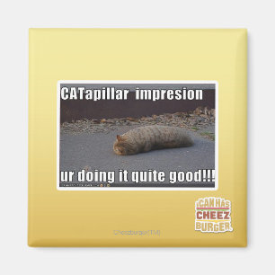 Imán CATapillar