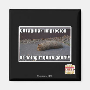 Imán CATapillar