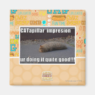 Imán CATapillar