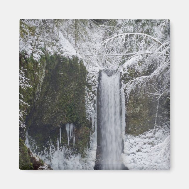 Imán Catarata borrosa rodeada por un bosque de nieve (Frente)
