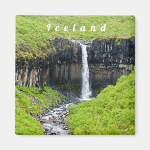 Imán Catarata Svartifoss en Skaftafell - Islandia
