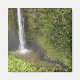 Imán Cataratas de Akaka, costa de Hamakua, Isla de Hawa