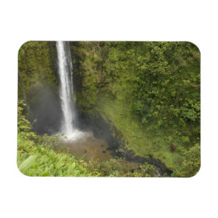 Imán Cataratas de Akaka, costa de Hamakua, isla de Hawa