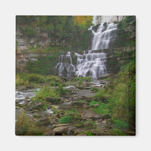 Imán Cataratas de Chittenango