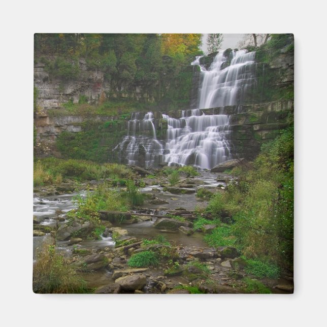 Imán Cataratas de Chittenango (Frente)