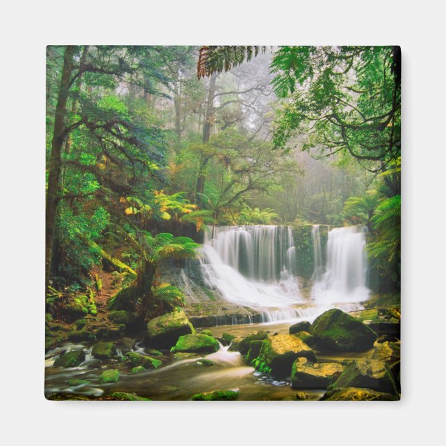 Imán Cataratas de herradura rodeadas de selva tropical (Frente)