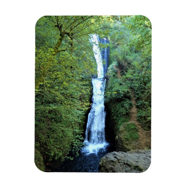 Imán Cataratas de velo de novias, Oregón (Vertical)
