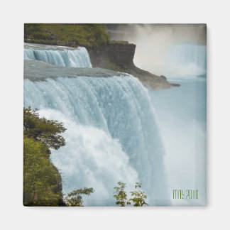 Imán Cataratas del Niágara 2010