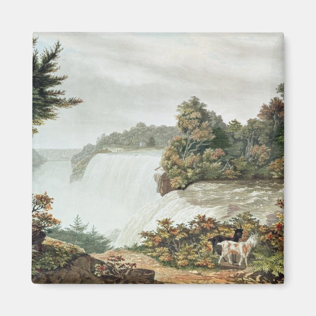 Imán Cataratas del Niágara, de la isla de Goat (Frente)