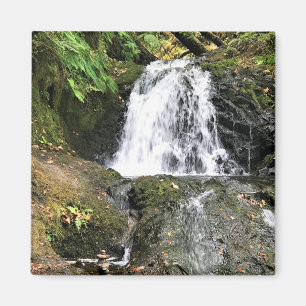 Imán Cataratas Dell de Shepperd, Oregon