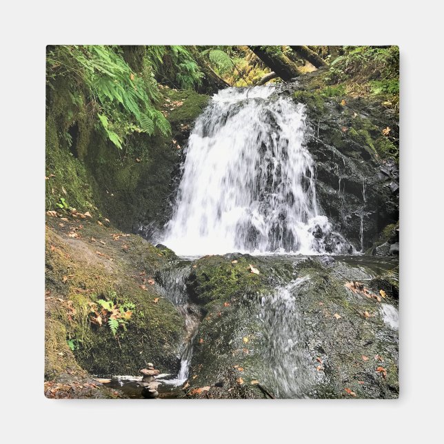 Imán Cataratas Dell de Shepperd, Oregon (Frente)