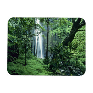 Imán Cataratas Hanakapiai a lo largo de la costa de Na