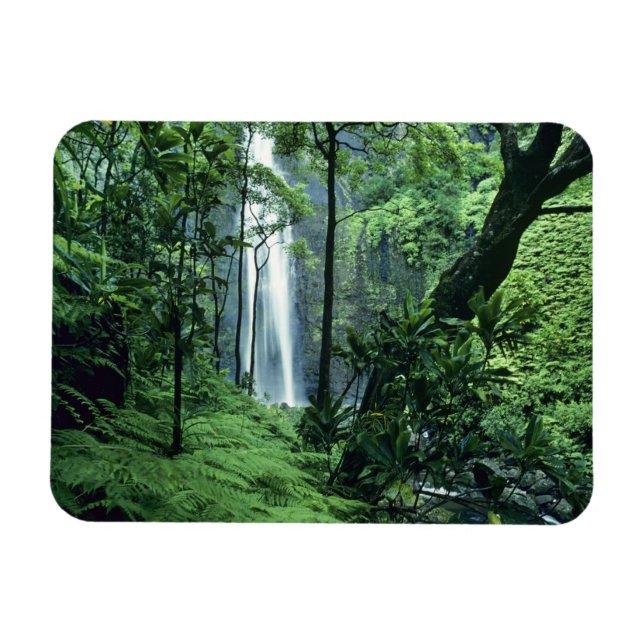 Imán Cataratas Hanakapiai a lo largo de la costa de Na  (Horizontal)