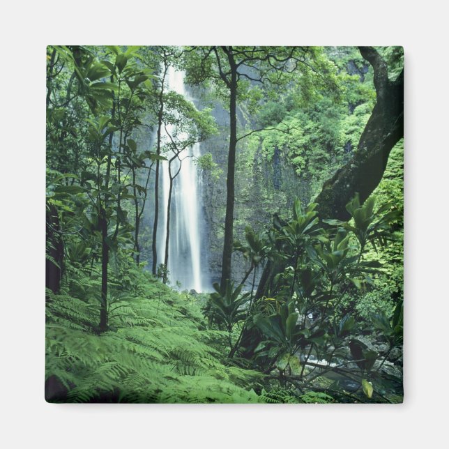 Imán Cataratas Hanakapiai a lo largo de la costa de Na  (Frente)